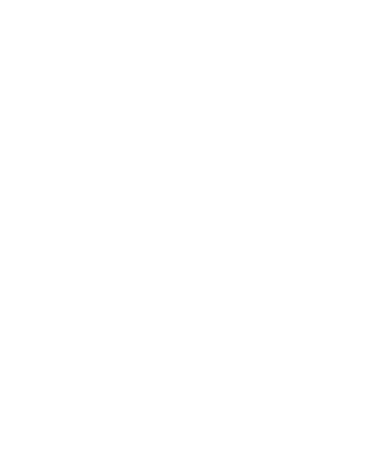 INDASA logo